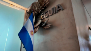 Logo Imagen Entrada Y Bandera Editada